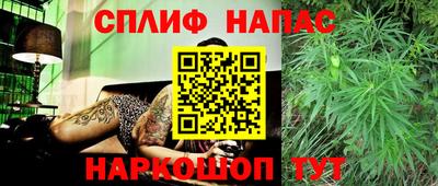 стаф Моздок