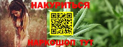 стаф Моздок