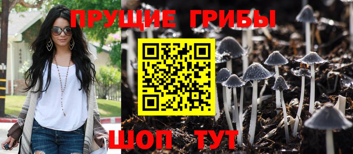 Топки  Псилоцибиновые грибы мицелий  купить   Галлюциногенные грибы мухоморы  Вход с VPN 